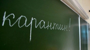 Школы Житомира закрывают на карантин