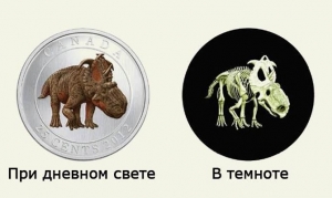 Интересные факты о деньгах 