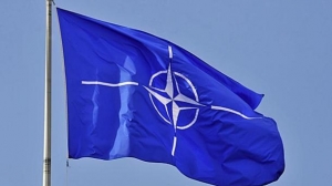 Развертывание войск НАТО в Балтии посылает четкий сигнал РФ - Грибаускайте