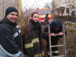 В Ужгороде спасли собаку, которая застряла между труб теплотрассы 