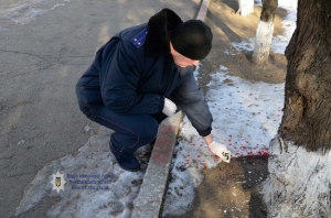Стрельба и пятна крови на асфальте: в Николаеве пытались убить предпринимателя 