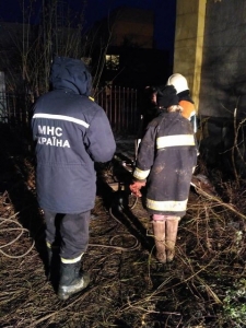 В Ужгороде спасли собаку, которая застряла между труб теплотрассы 